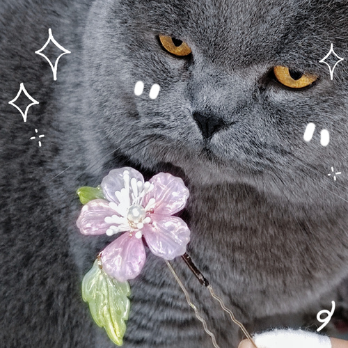 STE3cUZENFJOTmhab01HSVFJaE02b281SjhGUjFadndLTno5LzZjSHdRUT0