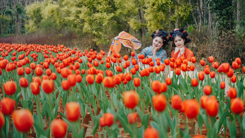 eHZYU1l3Mm9xK0piRHFrNDVESldzanQveGo0anUzZkhSZmI3TXhhUlNhQT0_副本