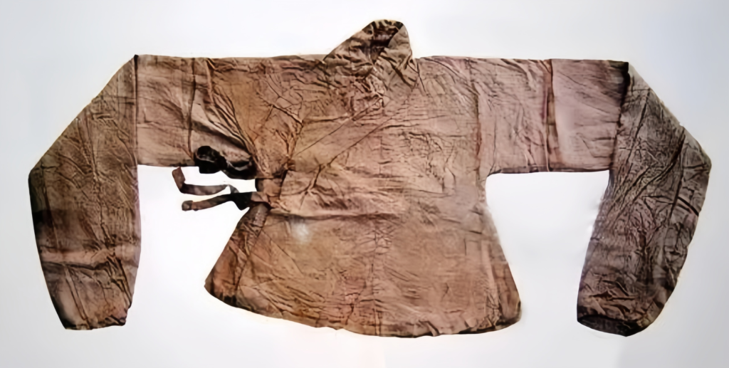 traditional Chinese tops，Hanfu clothing