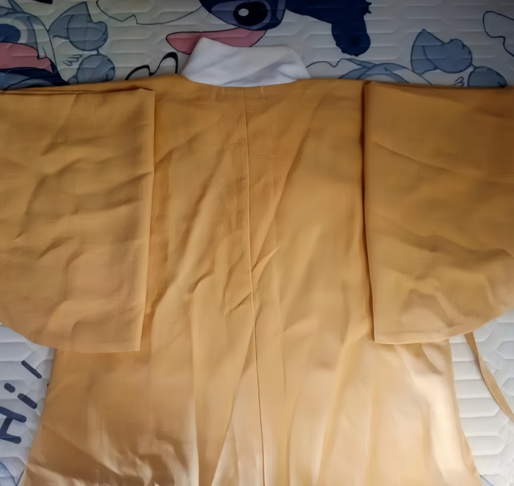 Hanfu revival，Hanfu clothing
