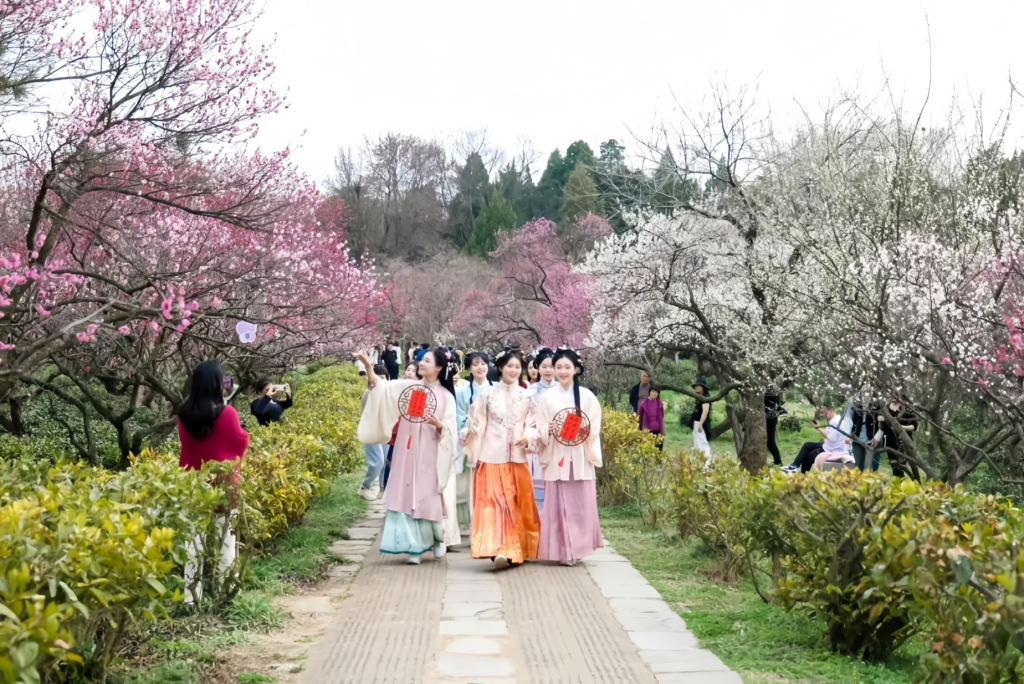 Hanfu festival,Nanjing Plum Blossom Festival, traditional Chinese clothing