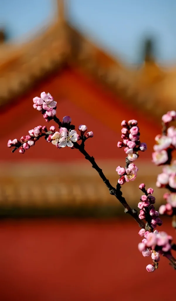 EHanfu,hanfu