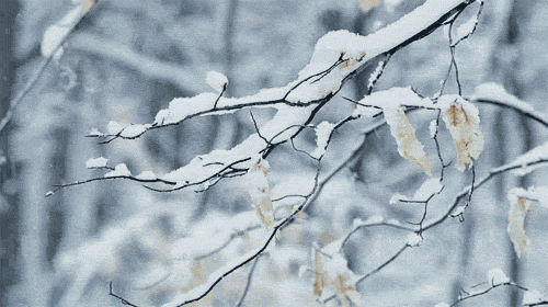 Hanfu in winter
