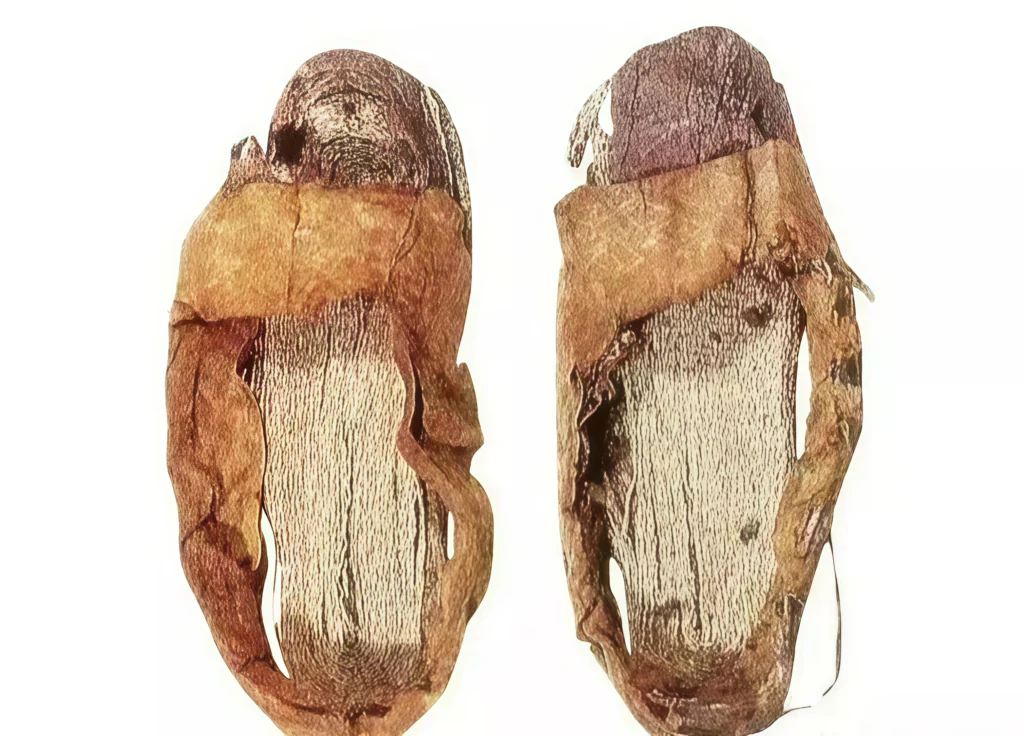Fascinating Ancient Chinese Footwear Evolution