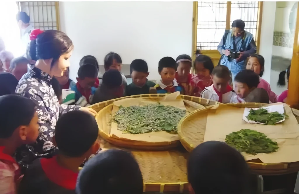 History of Han Chinese clothing
Traditional Chinese clothing
Hanfu evolution
Tang fashion peak
Ming clothing reform