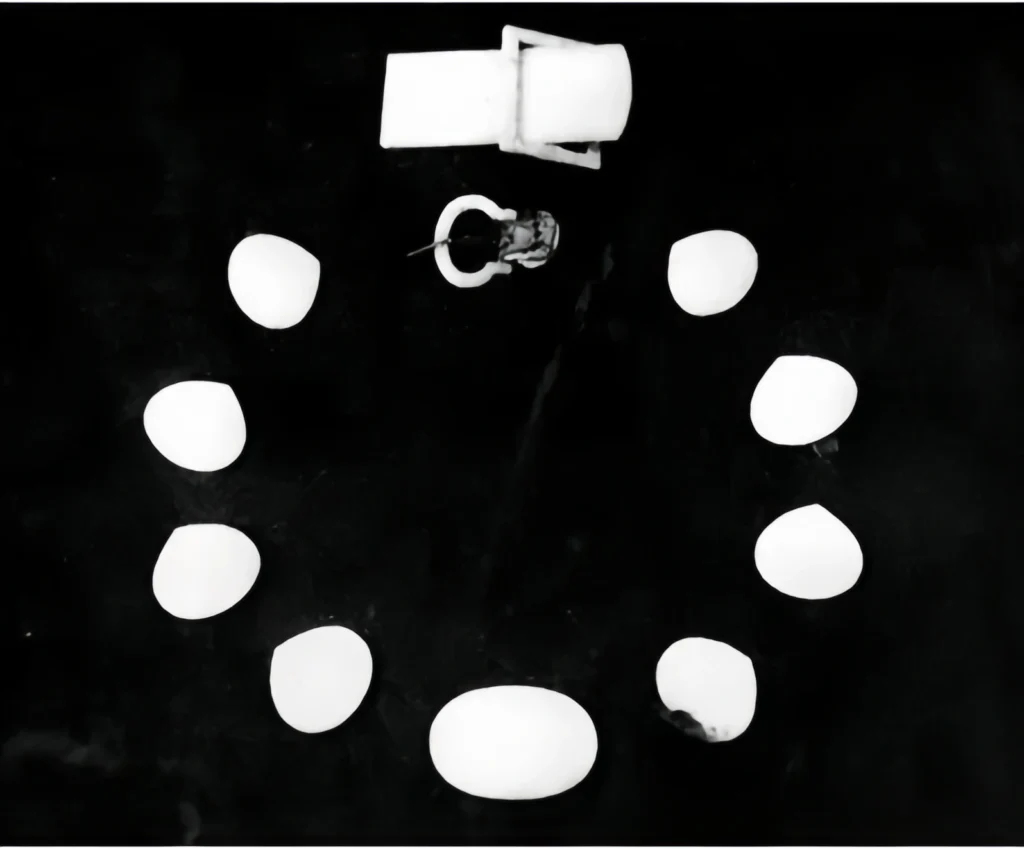 Ming empress ritual robes
Ming phoenix crown
Ming queen dress
Ming empress crown
Ming hanfu robe