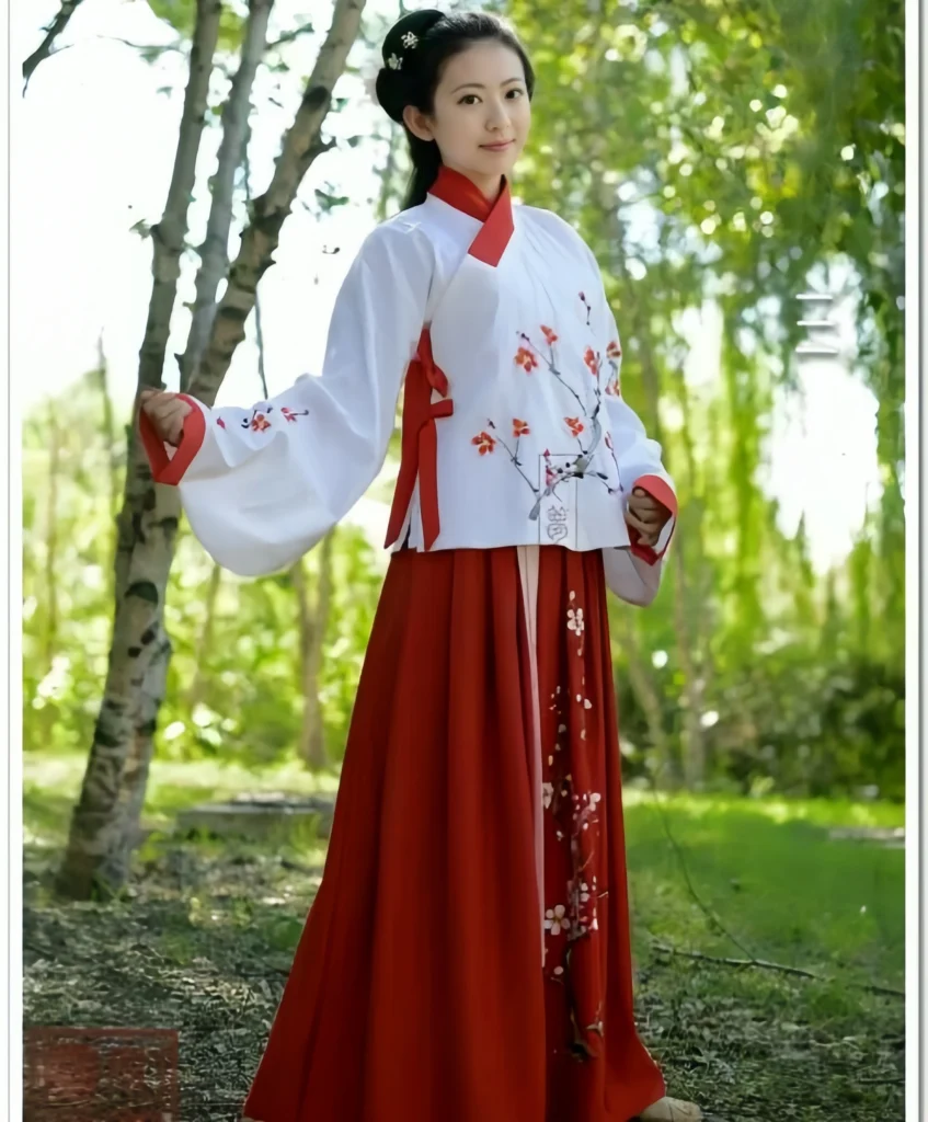 Hanfu system
Hanfu outfit types
Hanfu etiguette
traditional Chinese clothing
Chinese clothing history