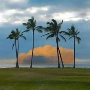 Profile photo of Christina Tucker